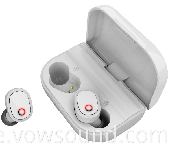 True Wireless Bluetooth Earbuds